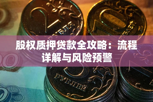 北京股权质押贷款全攻略：流程详解与风险预警