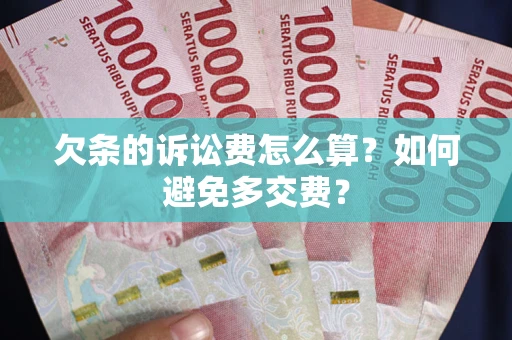 北京欠条的诉讼费怎么算？如何避免多交费？